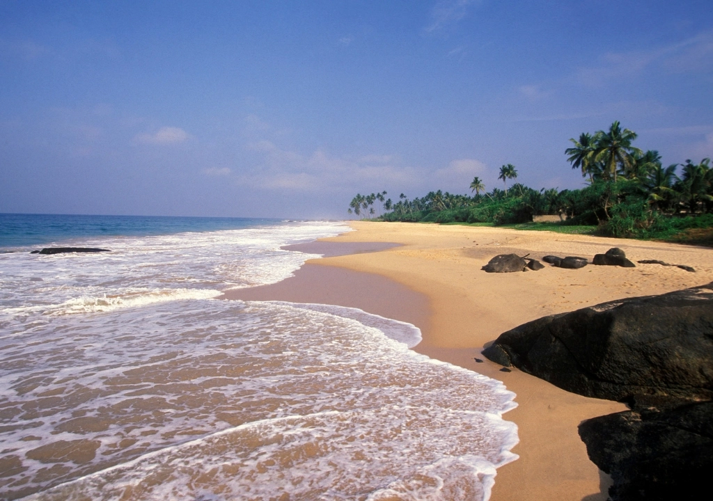 THE ART OF PLACE (2)