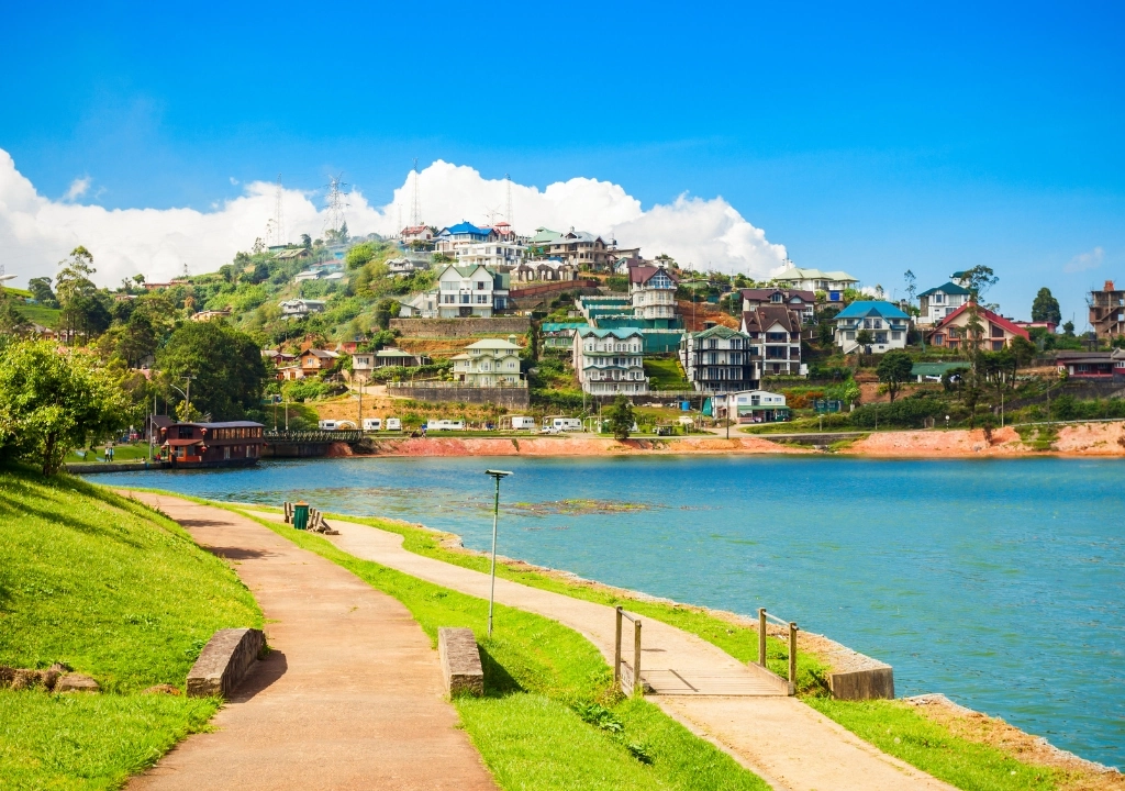 WELCOME TO PARADISE ISLAND (2)