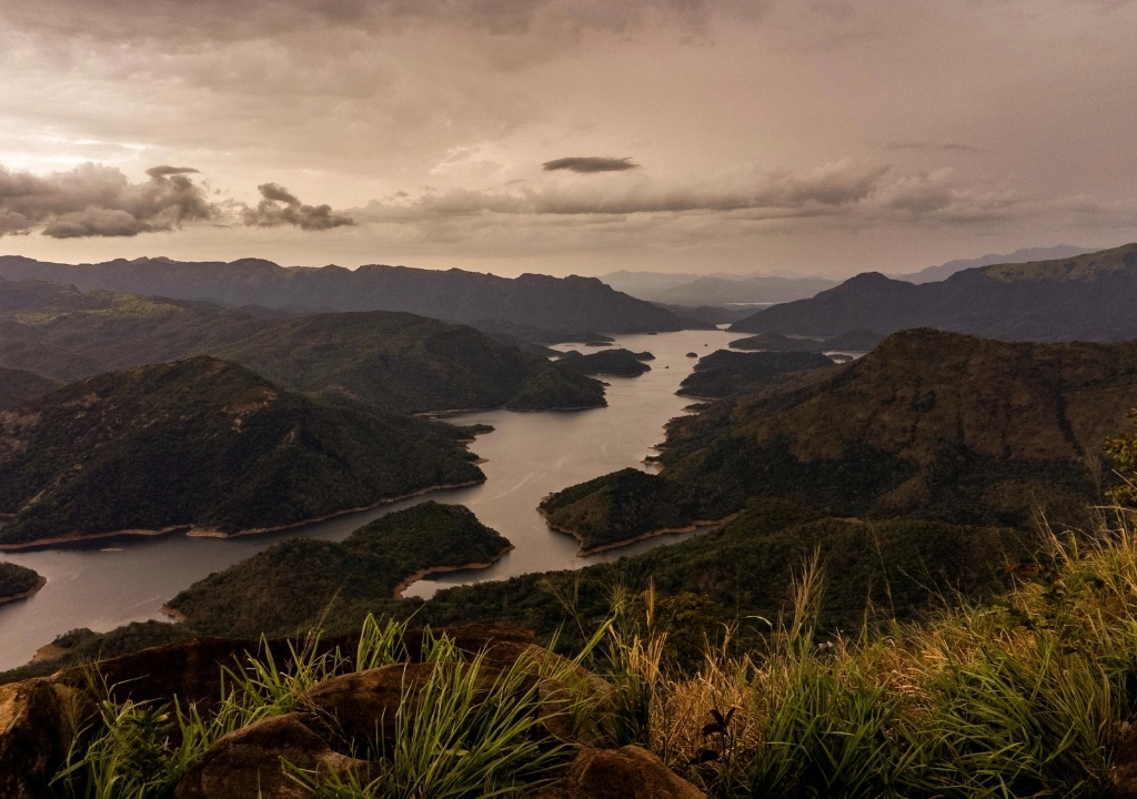 WELCOME TO PARADISE ISLAND (5)